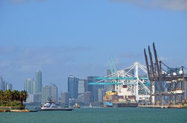 Port of Miami ve Miami şehir manzarası