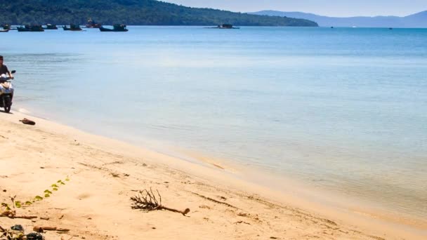 Człowiek z hulajnogą na plaży — Wideo stockowe