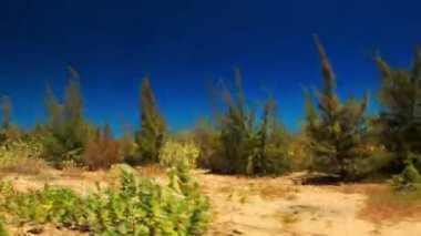 kamera yol boyunca hareket eder. 