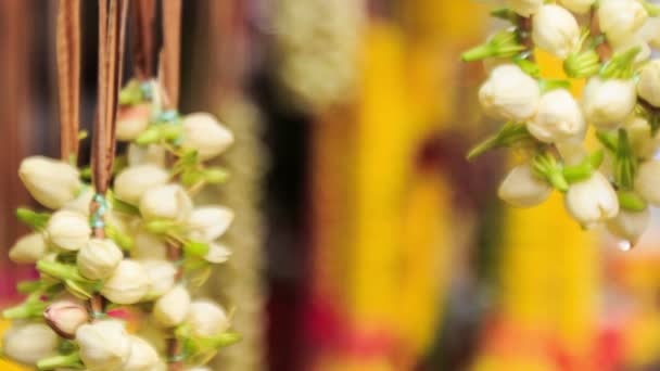 Witte jasmijn en gele bloemenslingers — Stockvideo