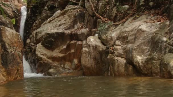 Ragazzo nuotare nella piscina del fiume — Video Stock