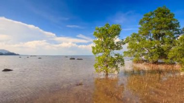 kayalık resort coast
