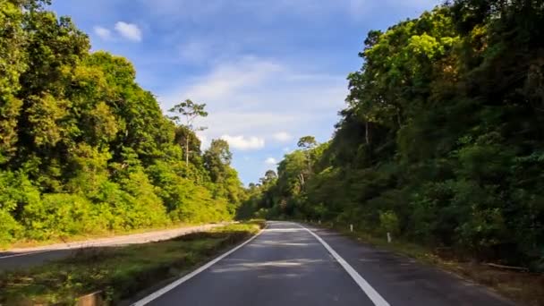 Auto, cestování na dlážděné silnici — Stock video