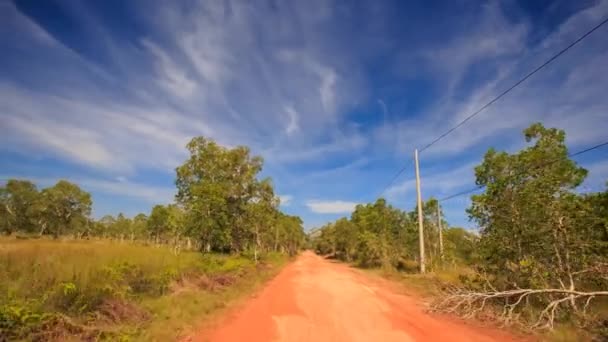 Estrada florestal verde — Vídeo de Stock