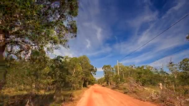 Equitação estrada floresta verde — Vídeo de Stock