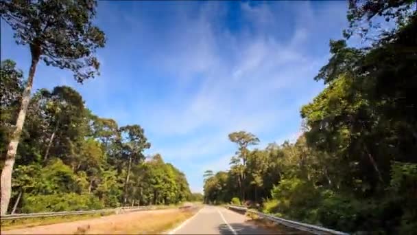 Автомобіль, що подорожує мощеною дорогою — стокове відео
