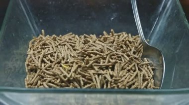 Cam kâseye yakından bak. Yemek salonunda tam tahıllı çikolata gevreği var.