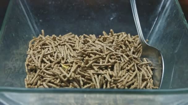 Pandangan tertutup pada mangkuk kaca dengan sereal cokelat biji-bijian utuh di food court — Stok Video