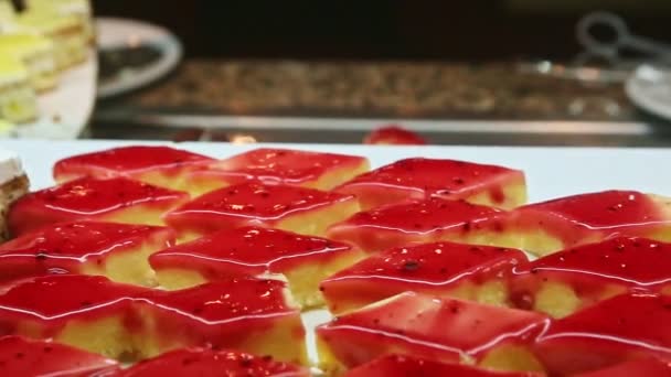 Panorama de close-up no sortimento de pedaços de bolo de queijo decorados com geléia de fruto — Vídeo de Stock