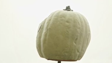 Cadılar bayramı balkabağı balkabağı feneri beyaz arka planda dönüyor