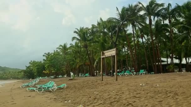 Snel panorama op gouden zandstrand met lege ligbedden en groene palmen — Stockvideo