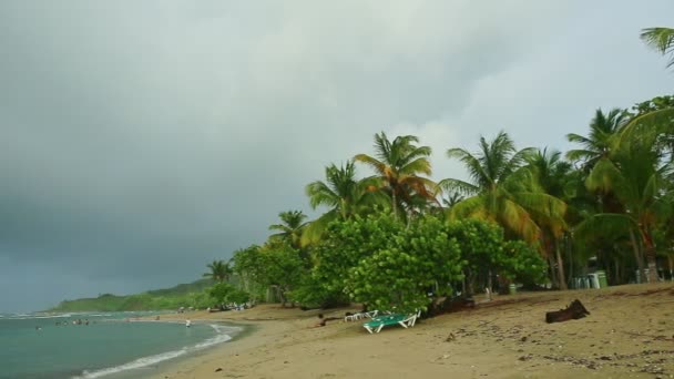 Hladké panorama z tropické písečné pláže se zelenou dlaní na modrý oceán — Stock video