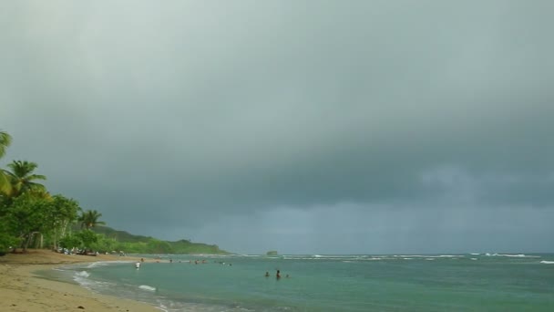 Panorama lento da praia tropical com palma verde ao mar azul com ondas — Vídeo de Stock