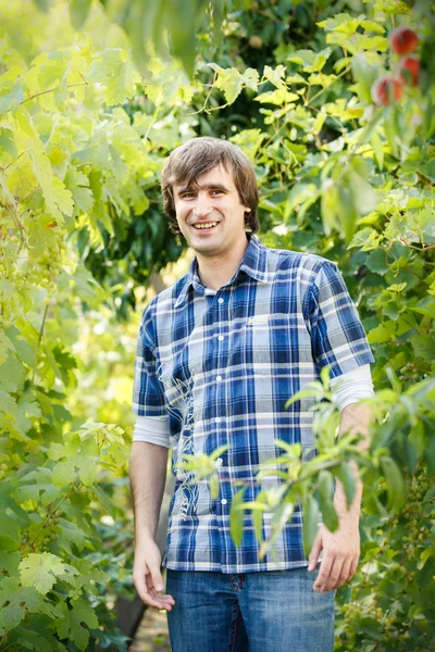 Hombre guapo en el jardín —  Fotos de Stock