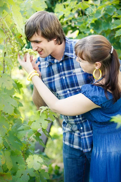 Young couple in garden — Stock Photo, Image