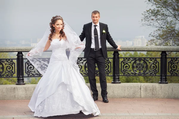 Beautiful wedding couple — Stock Photo, Image