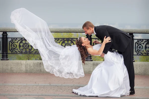 Beautiful wedding couple — Stock Photo, Image