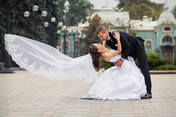 Beautiful wedding couple — Stock Photo, Image