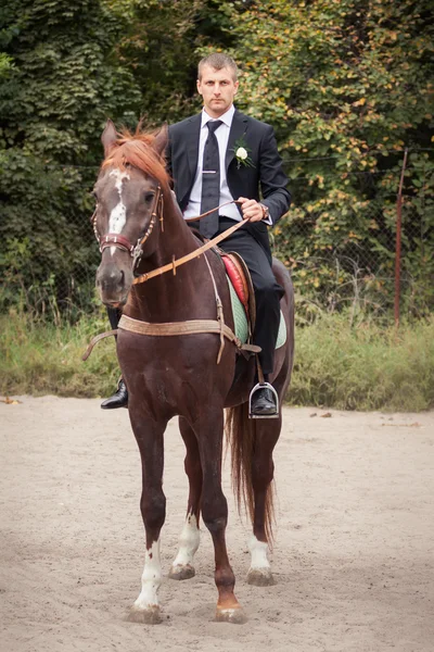 Groom on horse — Stock Photo, Image