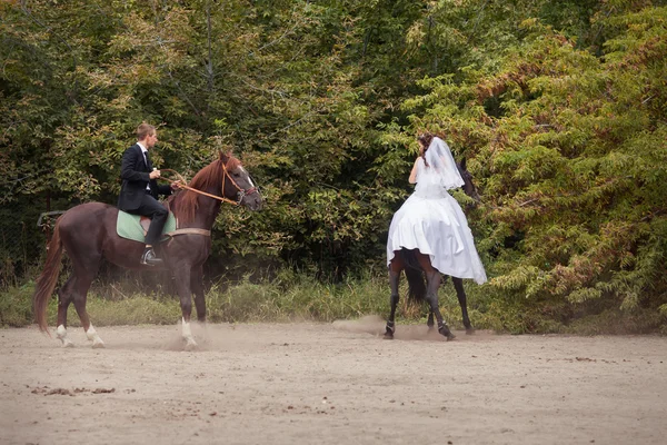 Pareja de boda a caballo —  Fotos de Stock