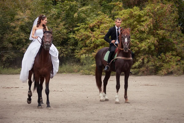 Bröllopsparet på hästar — Stockfoto