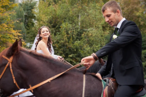 Hochzeitspaar auf Pferden — Stockfoto
