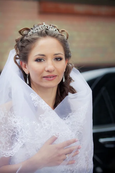 Beautiful brunette bride — Stock Photo, Image