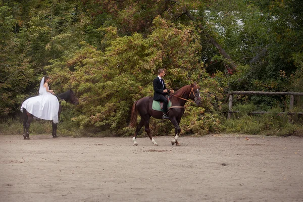 Wedding couple on horses — Stock Photo, Image