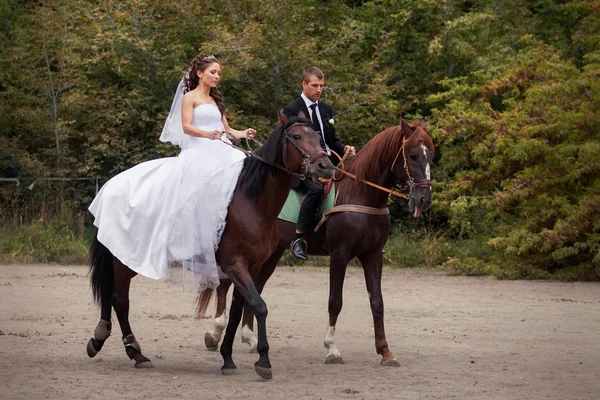 Para ślub na konie — Zdjęcie stockowe