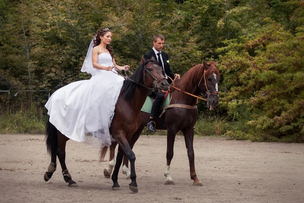 Wedding couple on horses — Stock Photo, Image