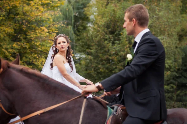 Γαμήλιο ζεύγος για άλογα — Φωτογραφία Αρχείου