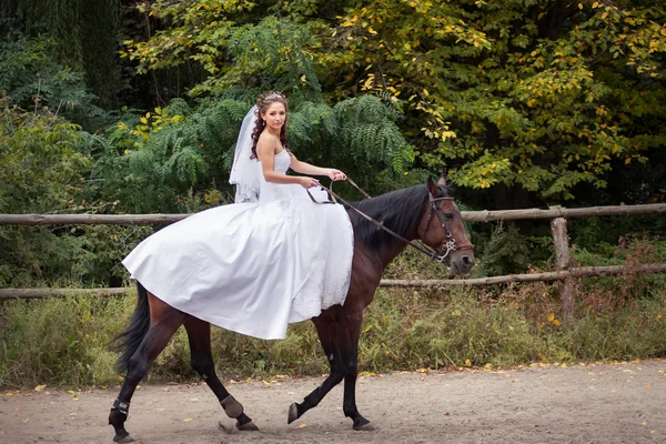Sposa a cavallo — Foto Stock