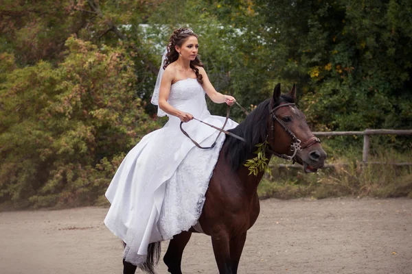 Braut auf Pferd — Stockfoto