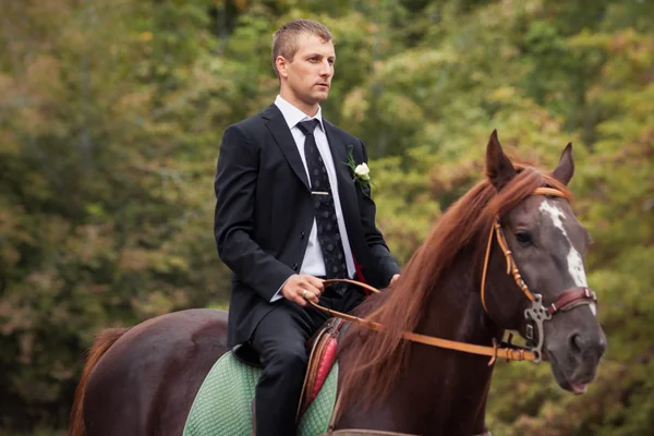 Groom on horse — Stock Photo, Image