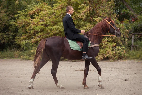 Sposo a cavallo — Foto Stock