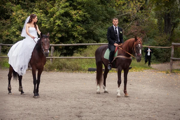Bröllopsparet på hästar — Stockfoto