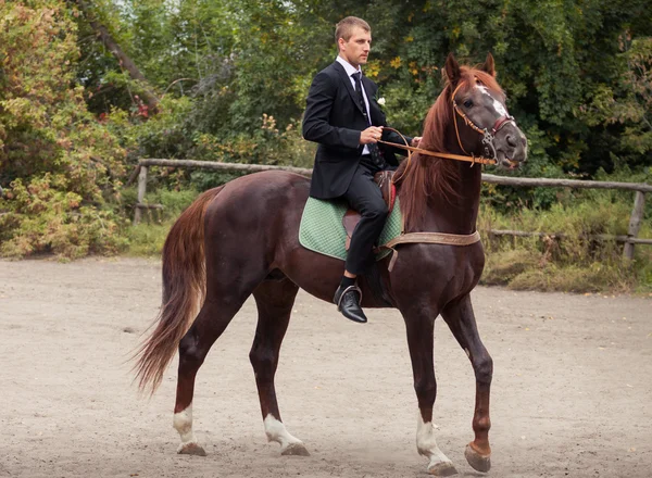 Bräutigam zu Pferd — Stockfoto