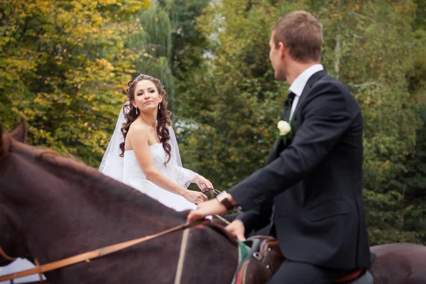 Casal de casamento em cavalos — Fotografia de Stock