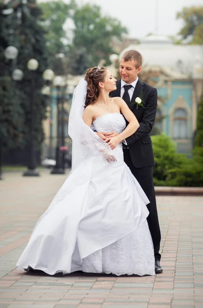 Beautiful wedding couple — Stock Photo, Image