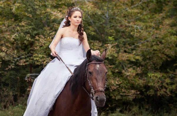 Sposa a cavallo — Foto Stock