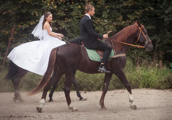 Casal de casamento em cavalos — Fotografia de Stock