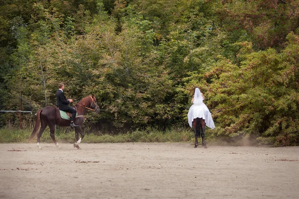 Casal de casamento em cavalos — Fotografia de Stock