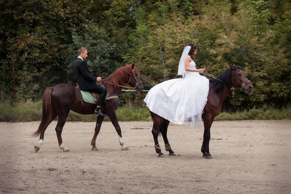 Wedding couple on horses — Stock Photo, Image