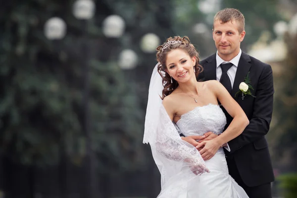 Hermosa pareja de boda —  Fotos de Stock