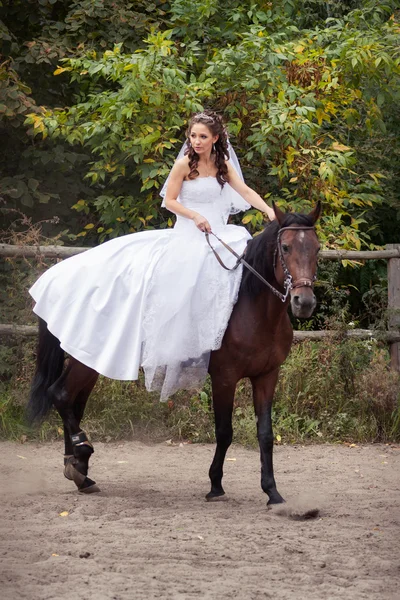 Braut auf Pferd — Stockfoto