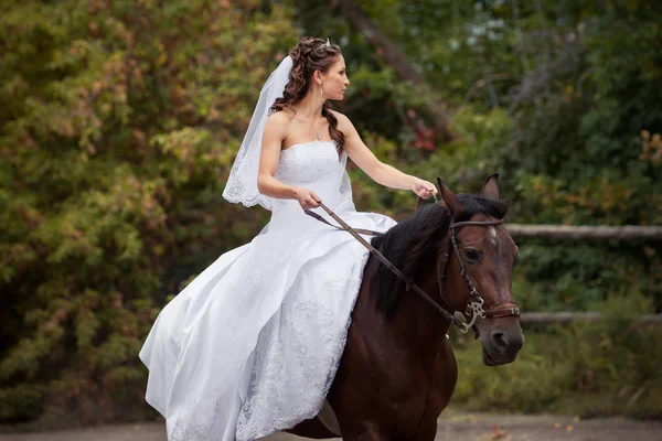 Braut auf Pferd — Stockfoto