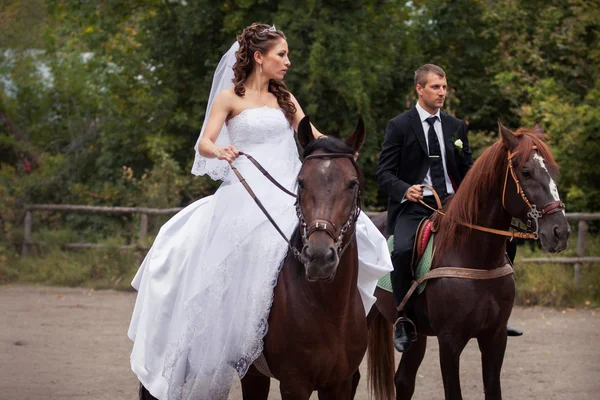 Wedding couple on horses — Stock Photo, Image