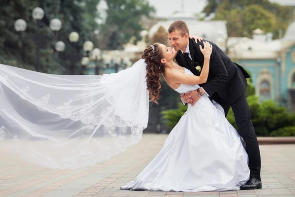 Hermosa pareja de boda — Foto de Stock