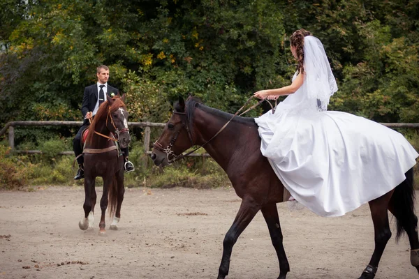 Wedding couple on horses — Stock Photo, Image