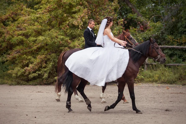 Pareja de boda a caballo — Foto de Stock